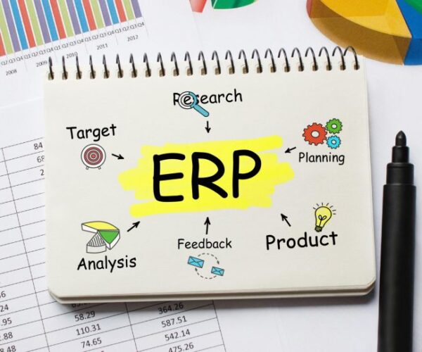 Software ERP Indonesia: Mendorong Efisiensi Bisnis di Era Digital