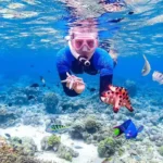 Hotel Romantis di Manado untuk Wisatawan yang Ingin Bersantai hotel romantis Manado dekat Bunaken
