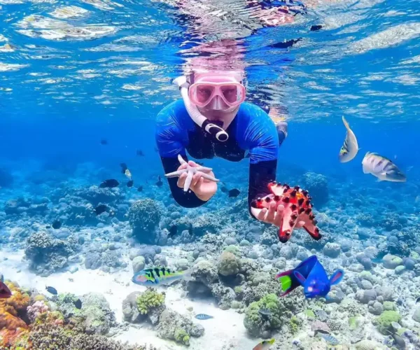 Hotel Romantis di Manado untuk Wisatawan yang Ingin Bersantai