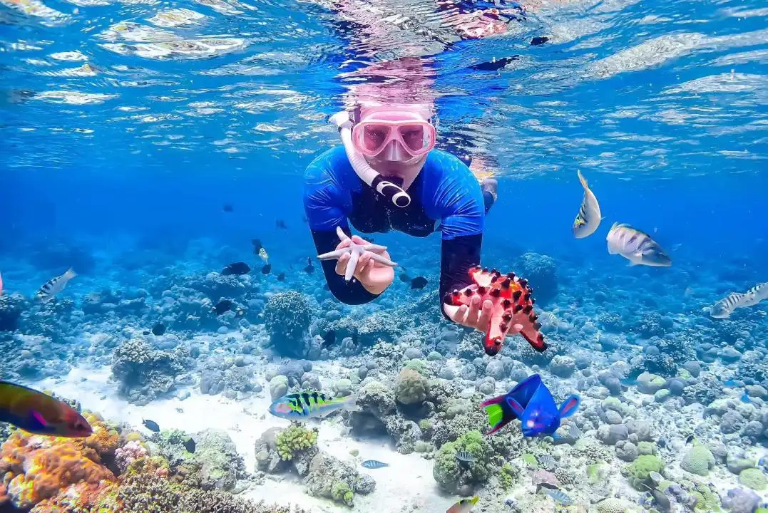 Hotel Romantis di Manado untuk Wisatawan yang Ingin Bersantai