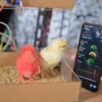 teknik komputer jaringan dan iot dalam peternakan