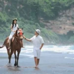 Pilihan Wisata Berkuda Yogyakarta wisata berkuda yogyakarta