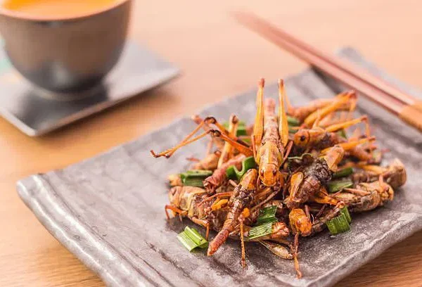 Panduan Eksplorasi Rasa Sajian Kuliner Lokal di Destinasi Wisata