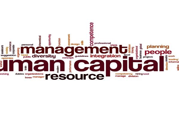 Panduan Lengkap Memilih dan Mengimplementasikan HCM Software untuk Efisiensi dan Produktivitas